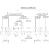Figure 29