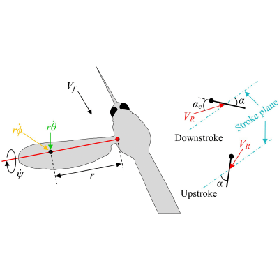 Figure 14