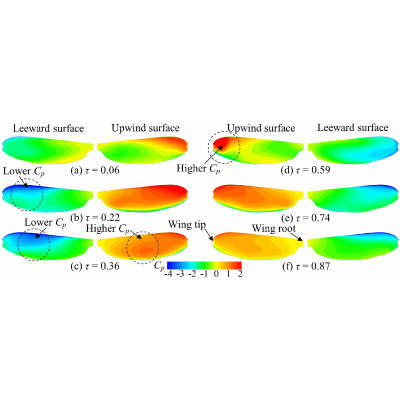 Figure 21