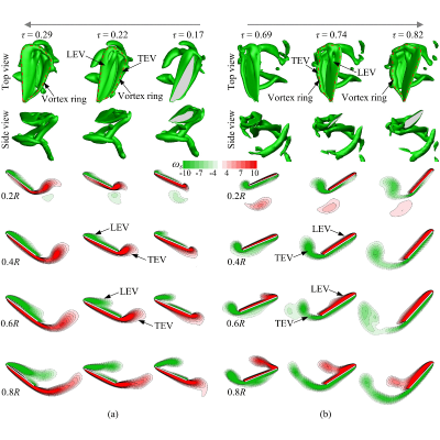Figure 19
