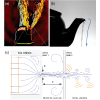 Figure 25